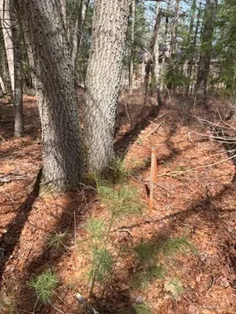 $100,000 | 0 Penopscot Street, Stoughton, MA 02072