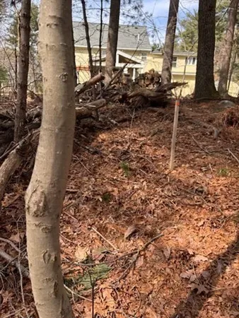 $100,000 | 0 Penopscot Street, Stoughton, MA 02072