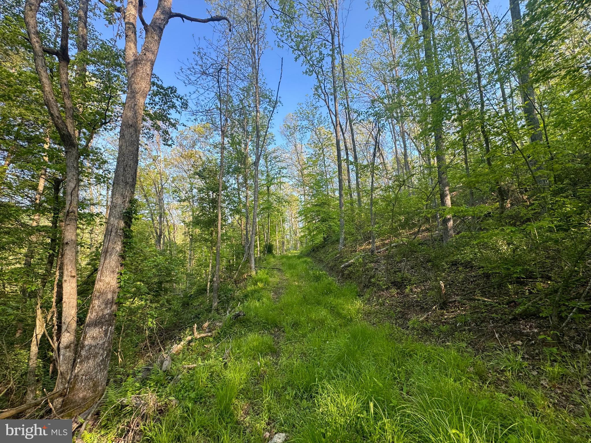 John Orr Road Independence, WV 26374 - Photo 6 of 37