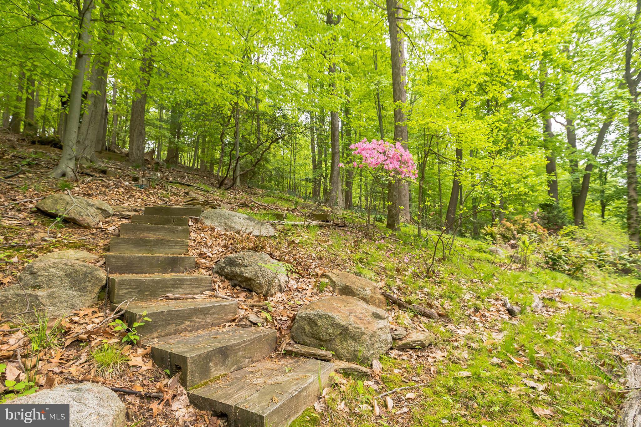 1169 Radnor Road Wayne, PA 19087 - Photo 31 of 33
