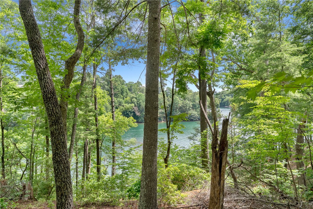 913 Rippling Water Way Salem, SC 29676 - Photo 4 of 15