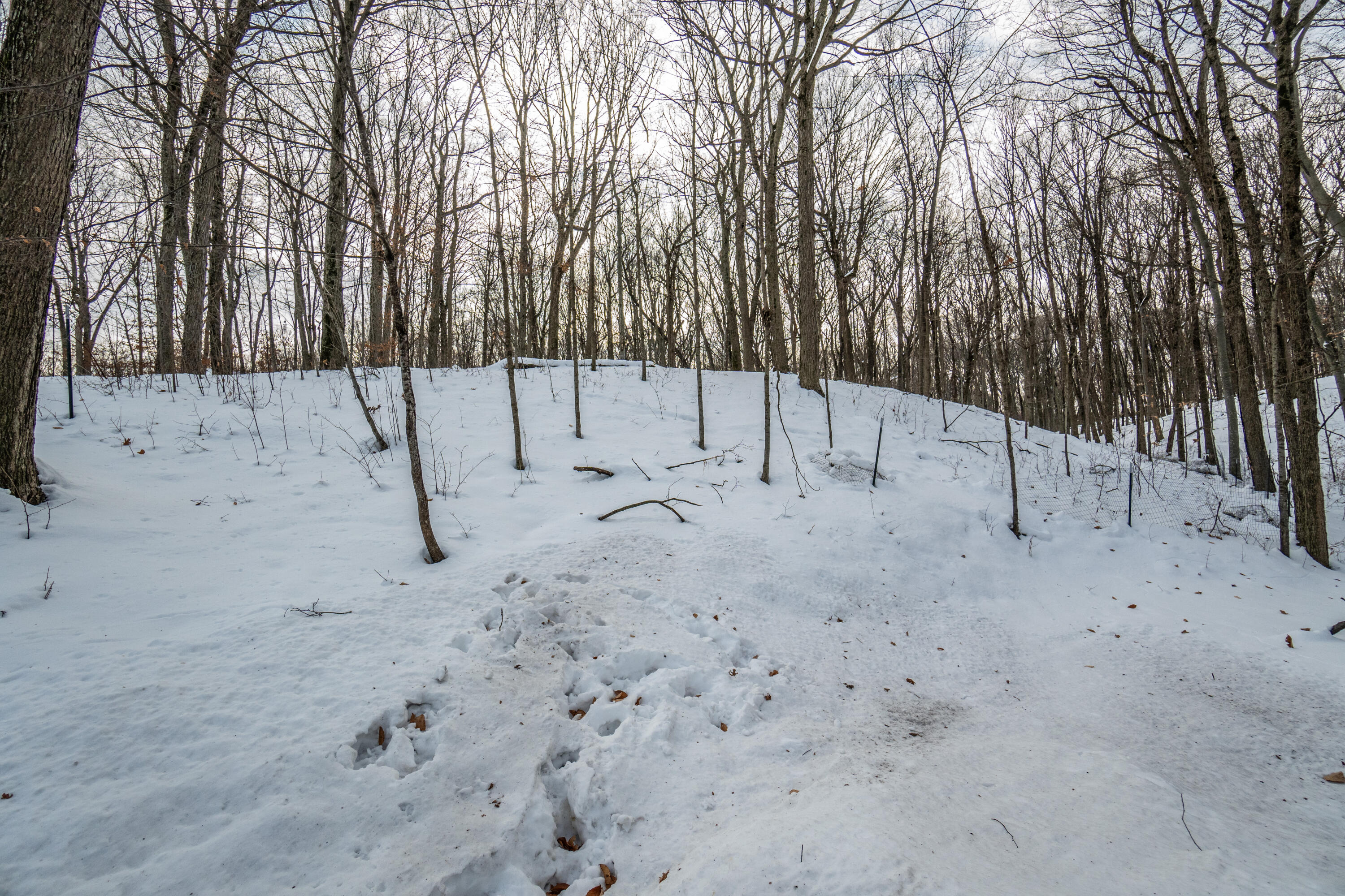 4593 Beaver Dam Road Barton, WI 53090 - Photo 40 of 45 DSC03500