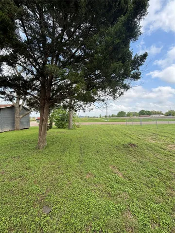 a view of a yard with a tree