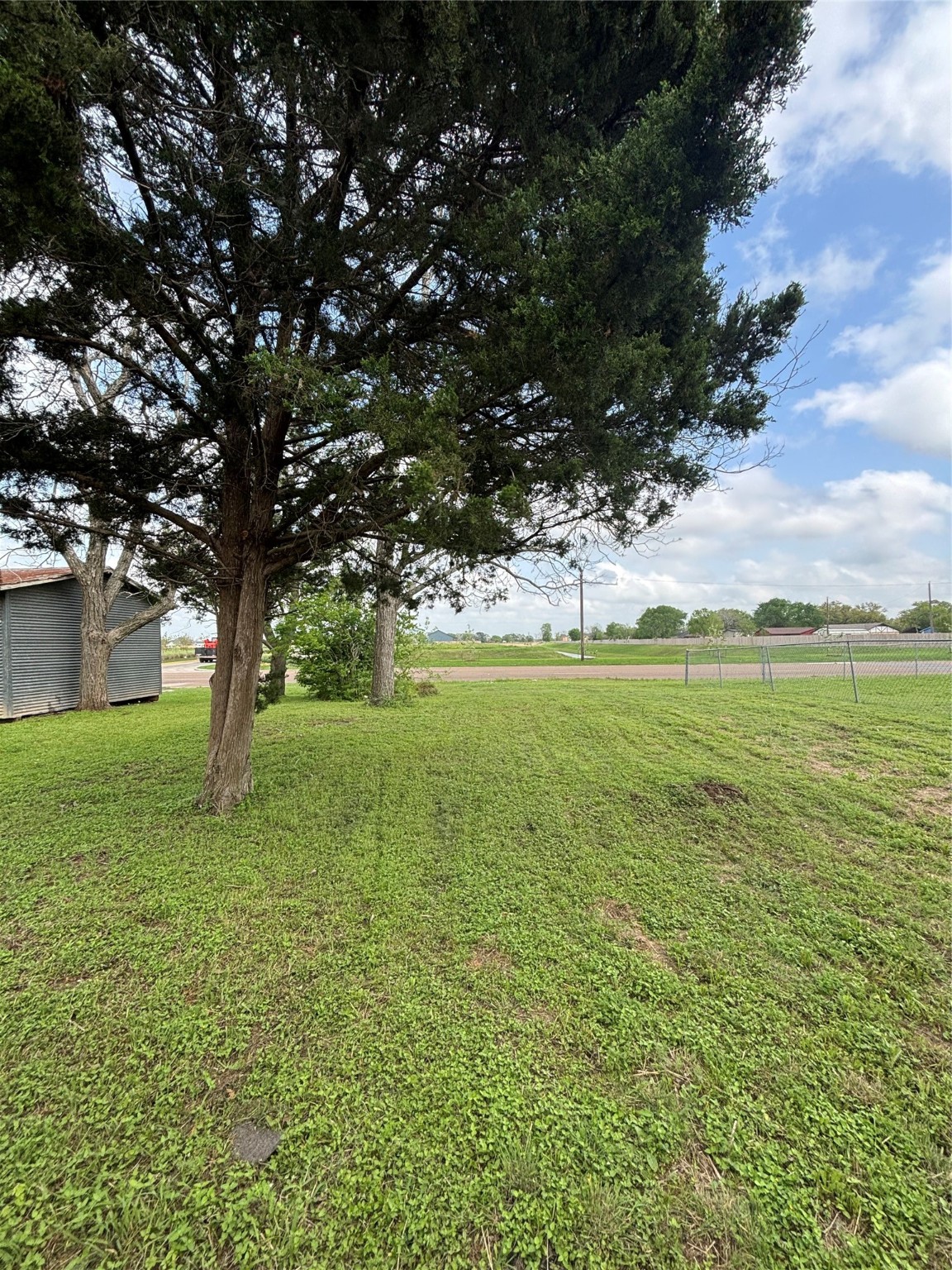 503 Correll Avenue Wharton, TX 77488 - Photo 3 of 6 a view of a yard with a tree