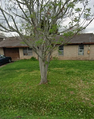 a backyard of a house with plants and large tree
