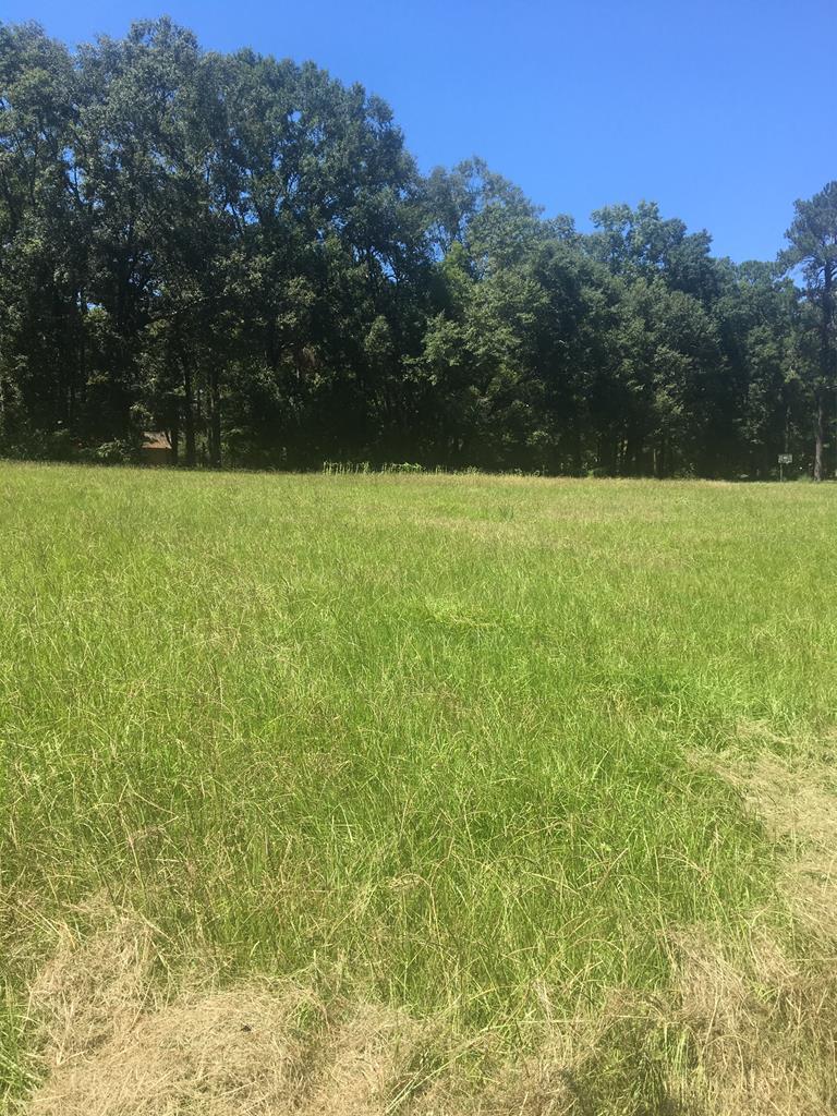 0 Omussee Road Dothan, AL 36303 - Photo 1 of 1