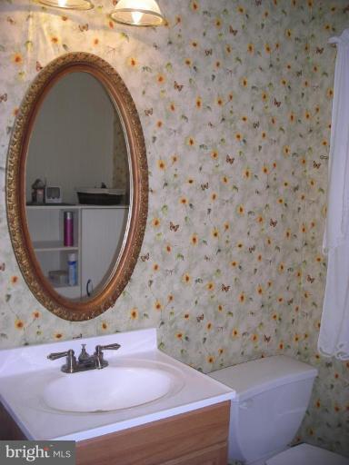 3310 Offutt Road Randallstown, MD 21133 - Photo 16 of 25 Bath #2