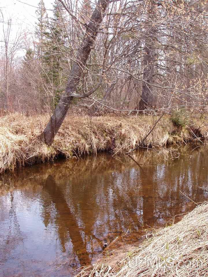 39502 Lower Worham Road Chassell, MI 49916 - Photo 2 of 11