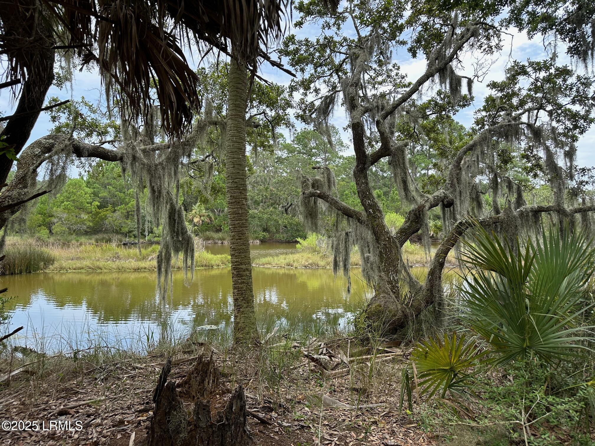 196 Polowana Road St. Helena Island, SC 29920 - Photo 14 of 36 image1