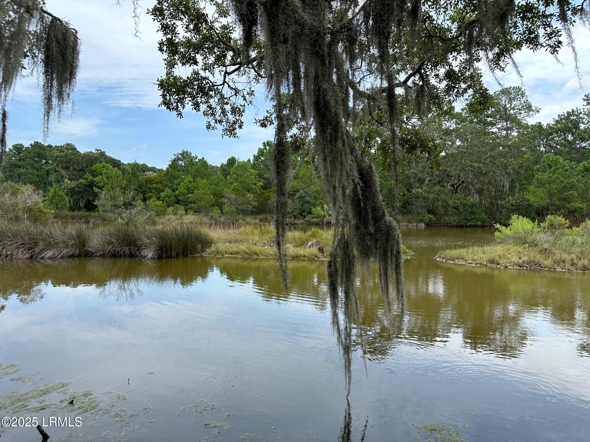 196 Polowana Road St. Helena Island, SC 29920 - Photo 15 of 36 image2
