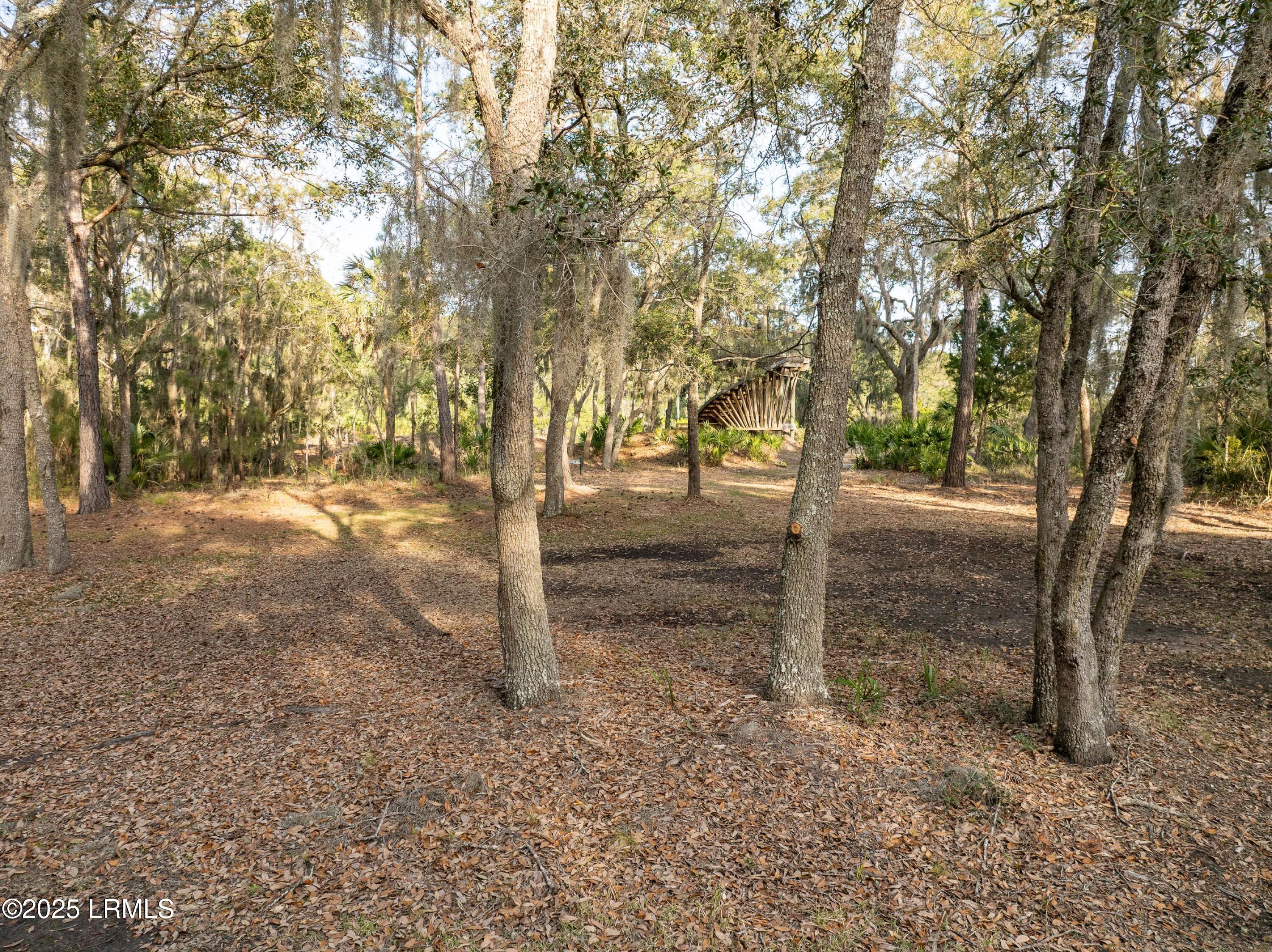 196 Polowana Road St. Helena Island, SC 29920 - Photo 22 of 36 DJI_20250319180021_0102_D-1-SMALL (2)