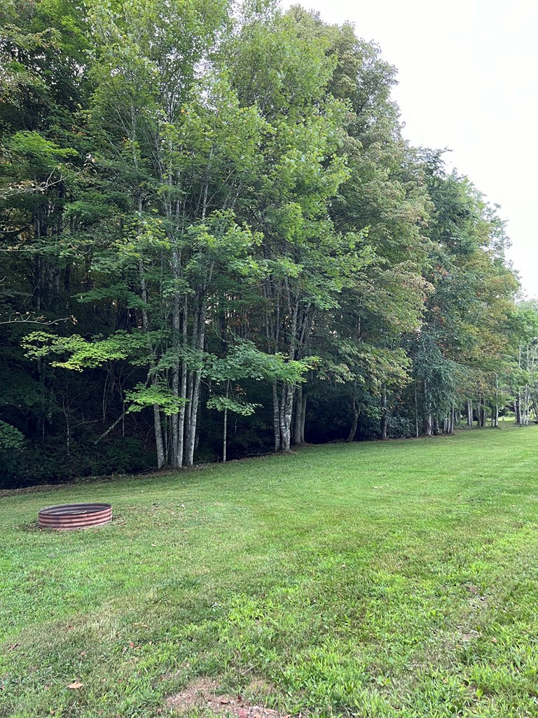 21240 Locust Branch Road Damascus, VA 24236 - Photo 20 of 57 Gallery Image 20