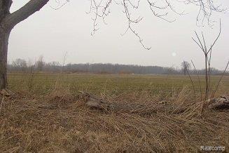 Lot A Munsell Road Fowlerville, MI 48836 - Photo 1 of 11 50Pic.JPG