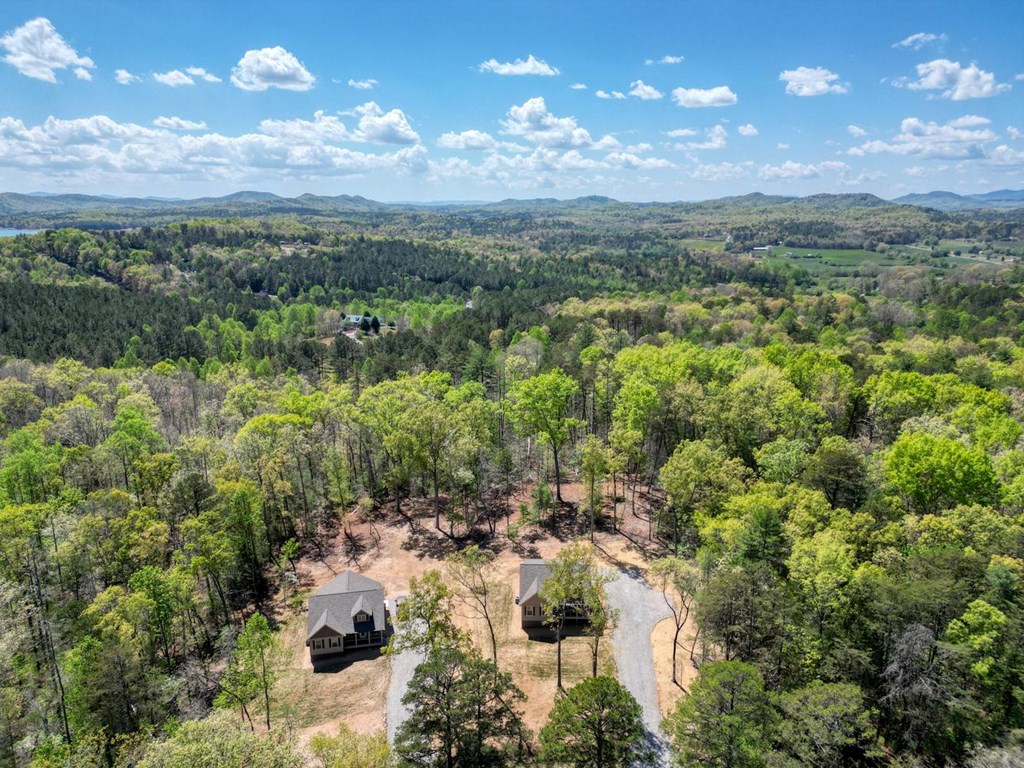 1347 John Smith Road East Blairsville, GA 30512 - Photo 43 of 47