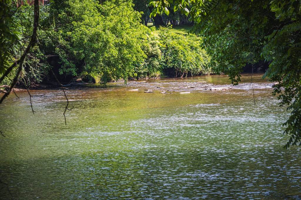348 Beaver Ridge Road Murphy, NC 28906 - Photo 56 of 67