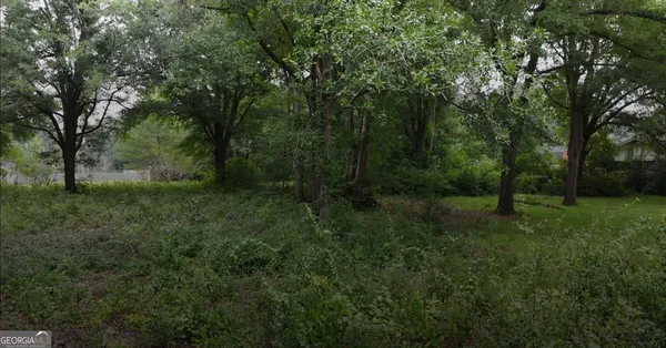 a big yard with lots of green space and trees