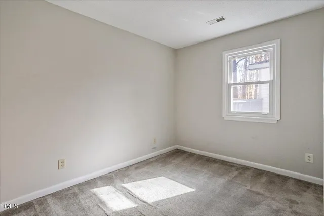 a view of road with large trees