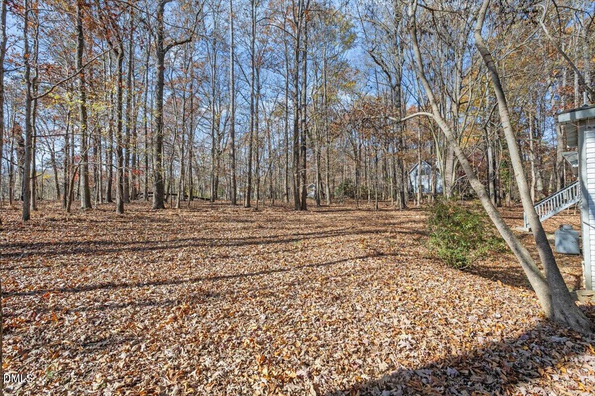 11907 North Roxboro Street Rougemont, NC 27572 - Photo 25 of 37 a view of empty room with trees