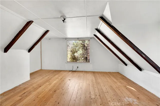 a view of a pathway of a yard