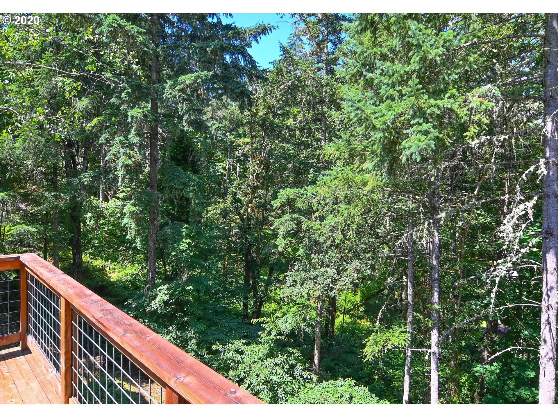 3032 Hendricks Hill Drive Eugene, OR 97403 - Photo 23 of 29