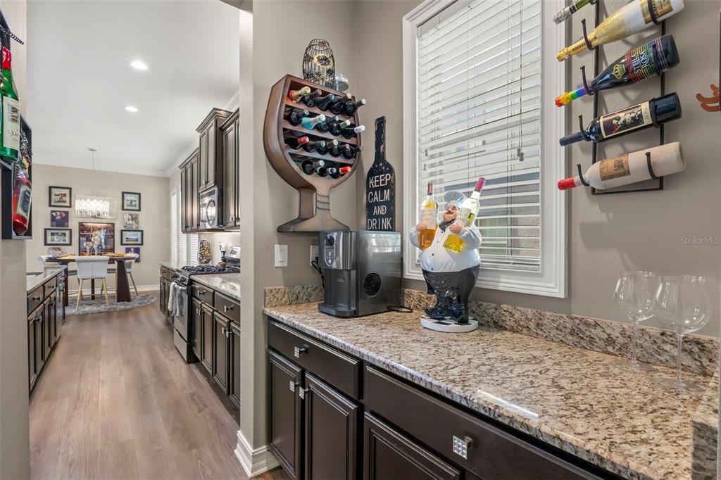 5906 Fishhawk Crossing Boulevard Lithia, FL 33547 - Photo 19 of 88