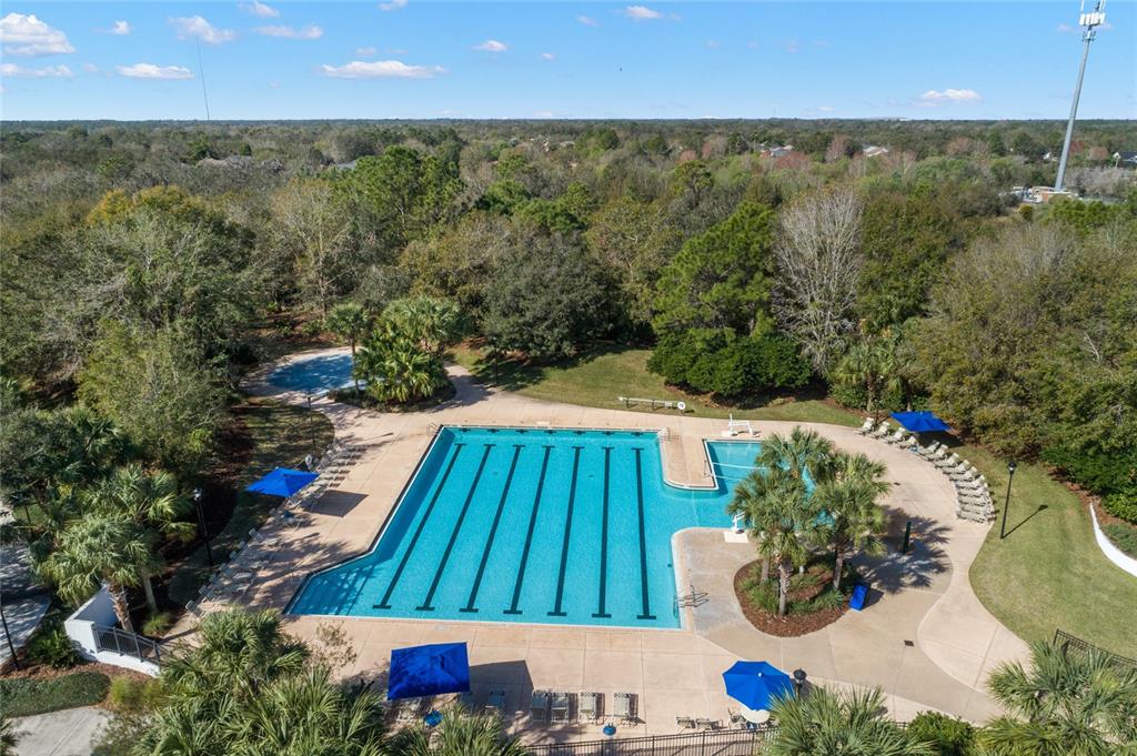 5906 Fishhawk Crossing Boulevard Lithia, FL 33547 - Photo 65 of 85