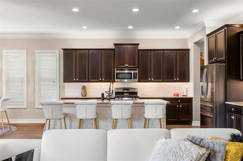 5906 Fishhawk Crossing Boulevard Lithia, FL 33547 - Photo 10 of 85