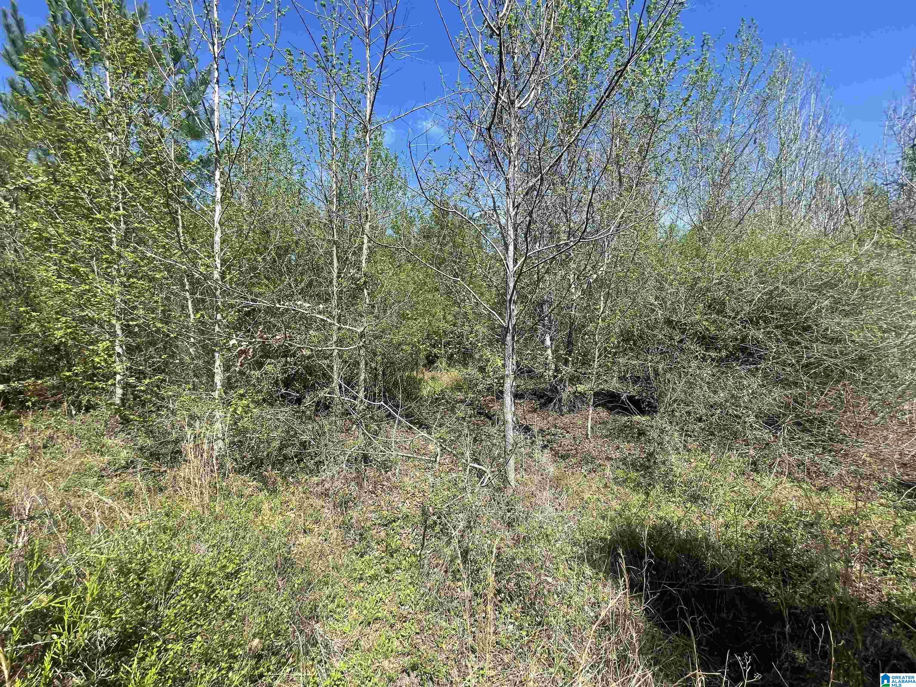 0 Richardson Road Brewton, AL 36426 - Photo 38 of 47
