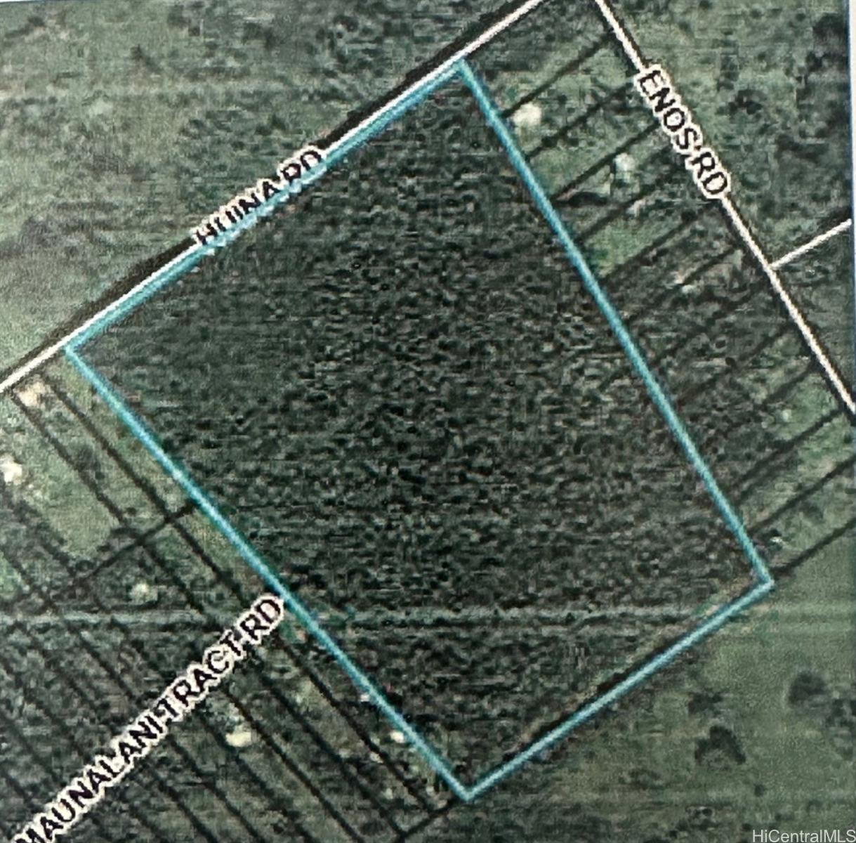 0 Huina Road Mountain View, HI 96771 - Photo 5 of 5 a close up of a plant