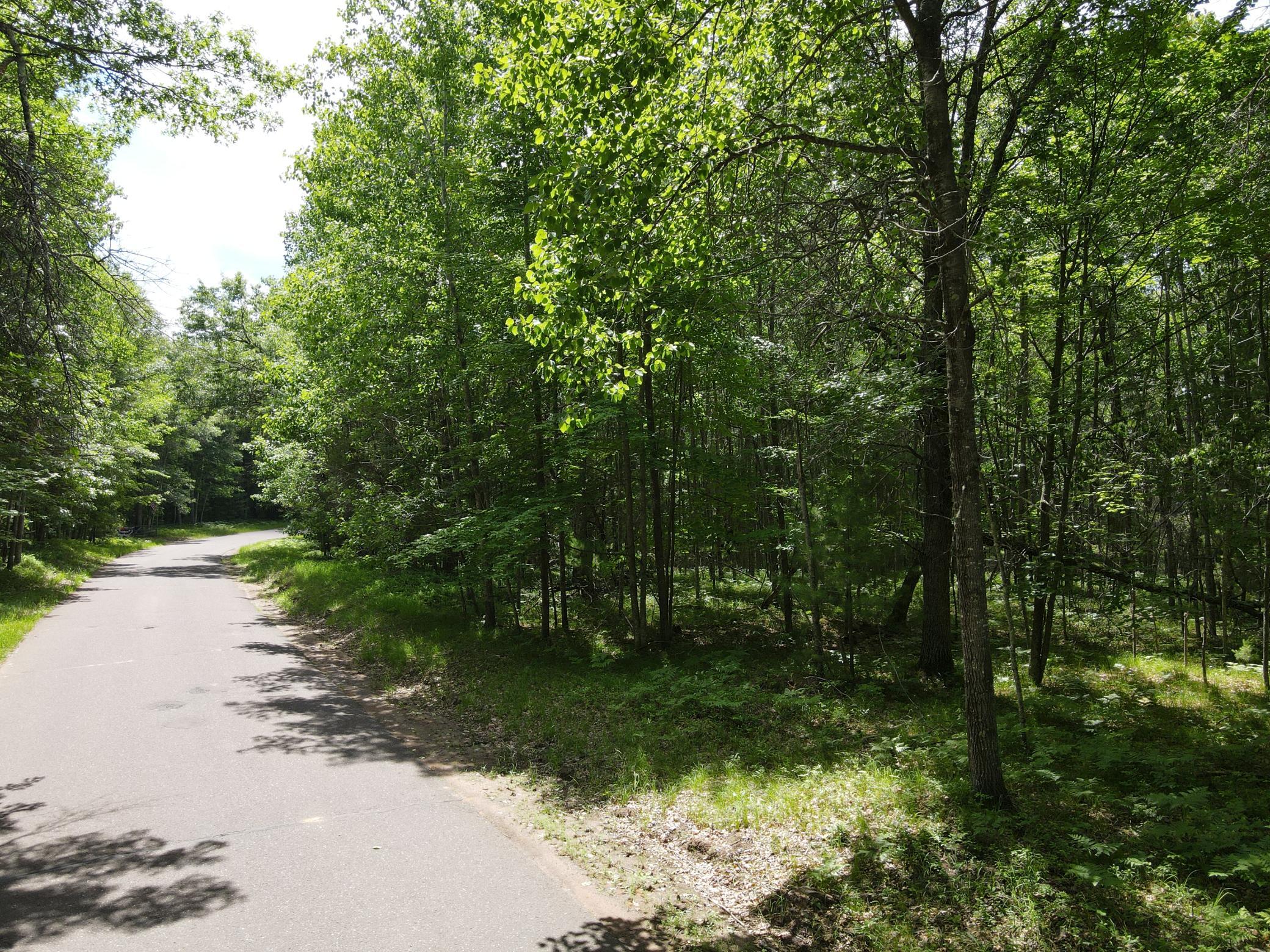 Lot 14 Loon Lake Road Danbury, WI 54830 - Photo 14 of 16