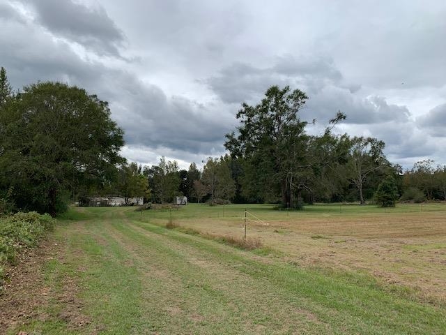 16550 Pne Grv Rd Extension North Bay Minette, AL 36507 - Photo 33 of 42