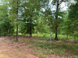 0 Chaplins Landing Road Hollywood, SC 29449 - Photo 1 of 1 0 Chaplins Landing