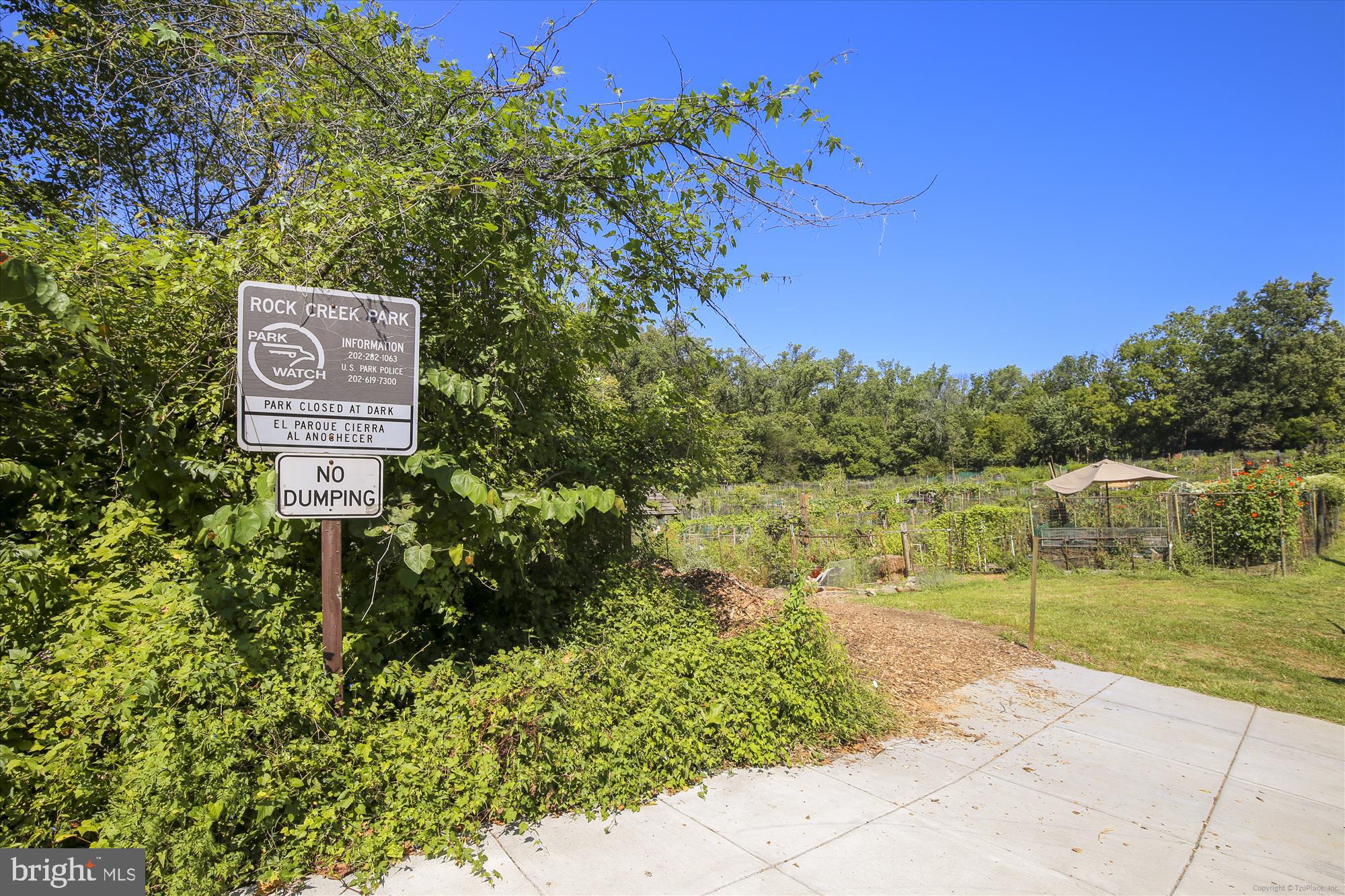 2236 40th Street Northwest, Unit FIVE Washington, DC 20007 - Photo 27 of 37 a view of a street with a building in the background