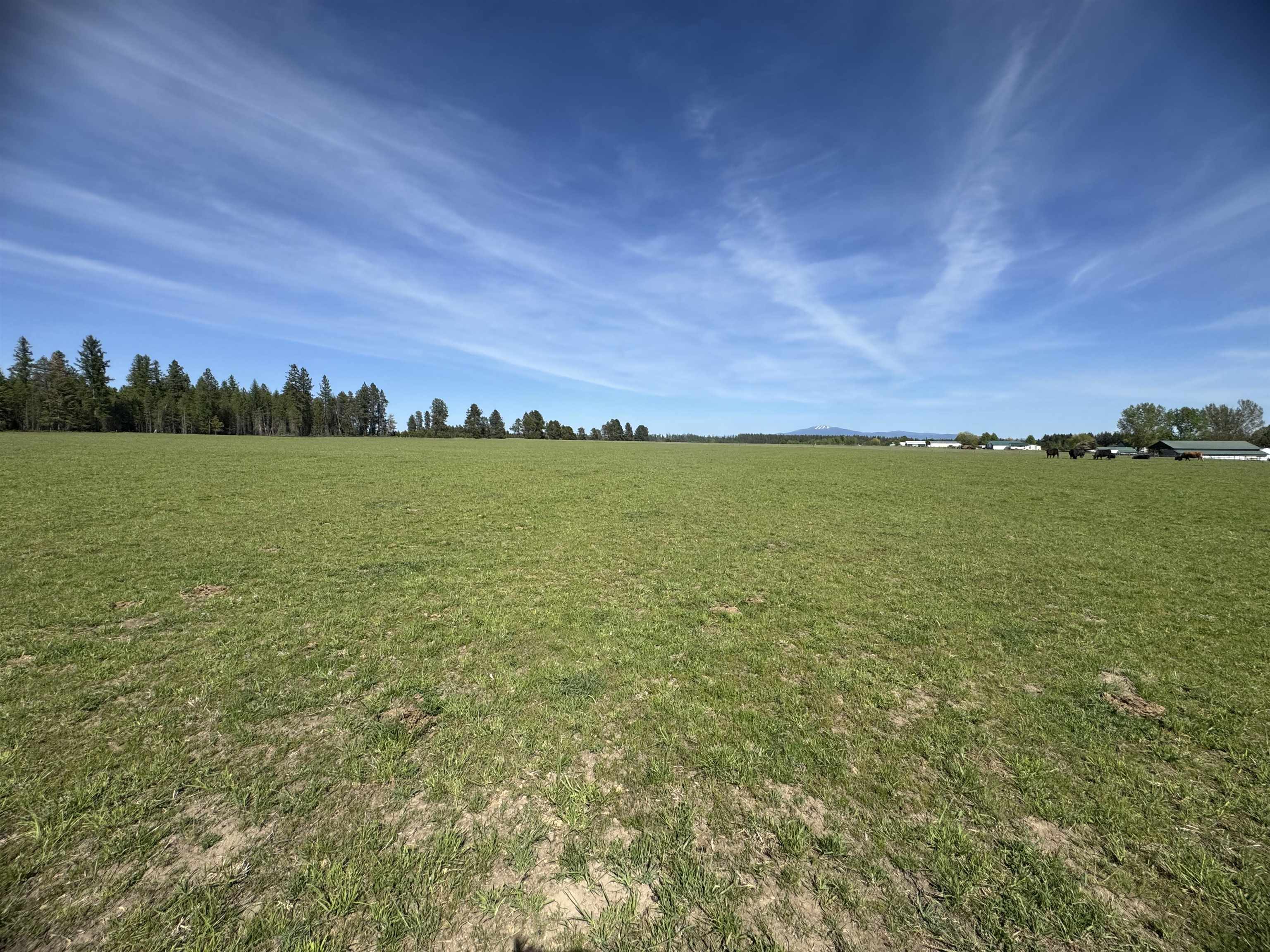 29210 North Spotted Road, Unit PARCEL B Deer Park, WA 99006 - Photo 1 of 11 Gallery Image 1