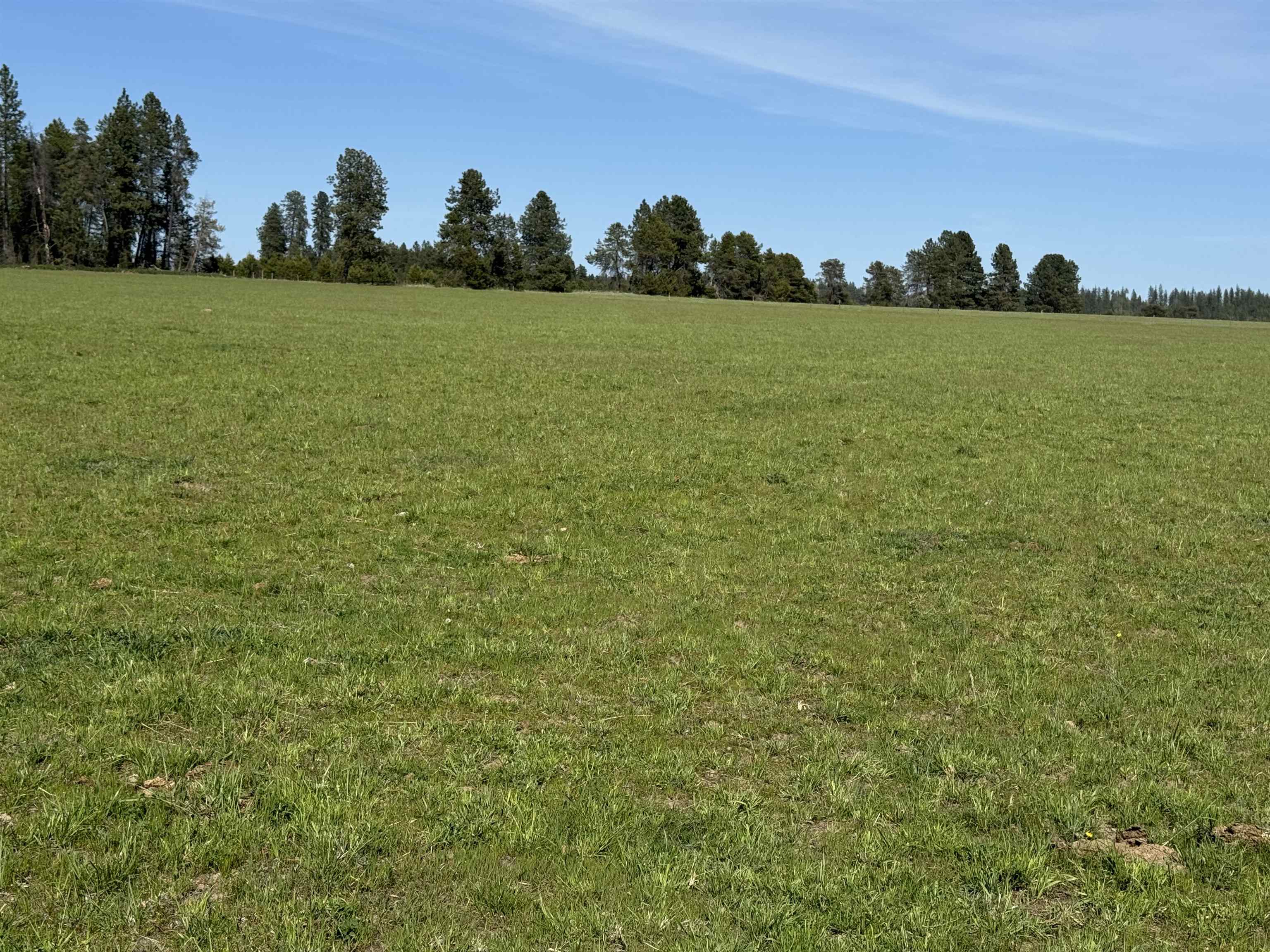 29210 North Spotted Road, Unit PARCEL B Deer Park, WA 99006 - Photo 2 of 11 Gallery Image 2