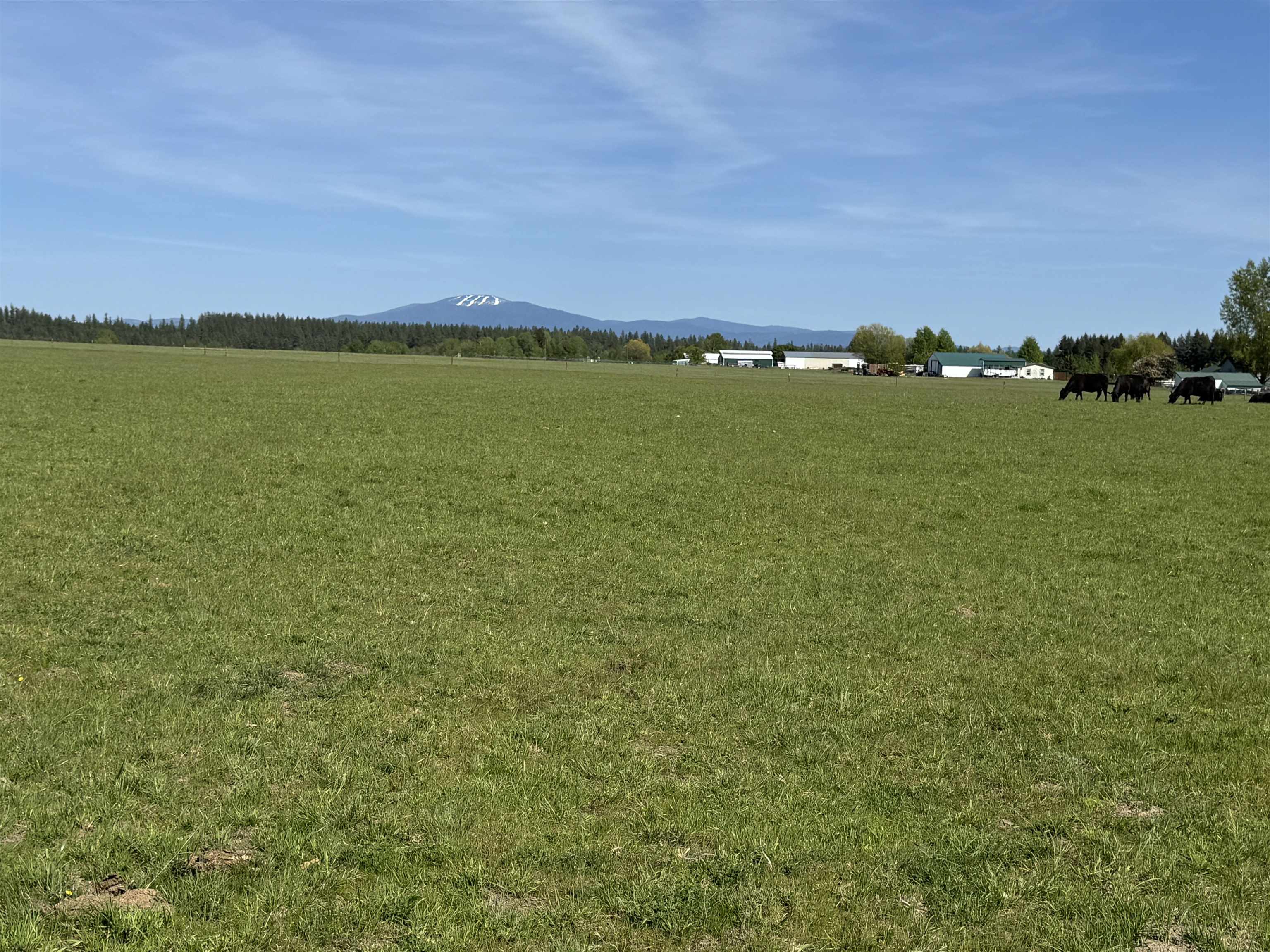 29210 North Spotted Road, Unit PARCEL B Deer Park, WA 99006 - Photo 3 of 11 Gallery Image 3