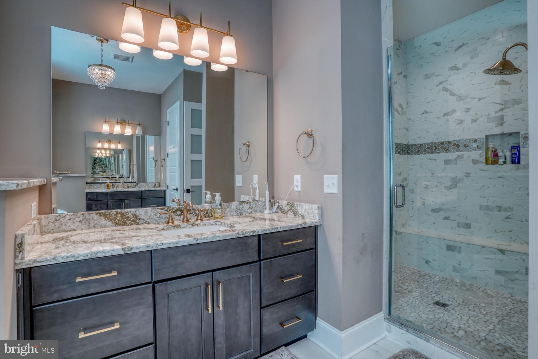 22261 Waterview Road Lewes, DE 19958 - Photo 33 of 93 Owner's Luxury Bathroom