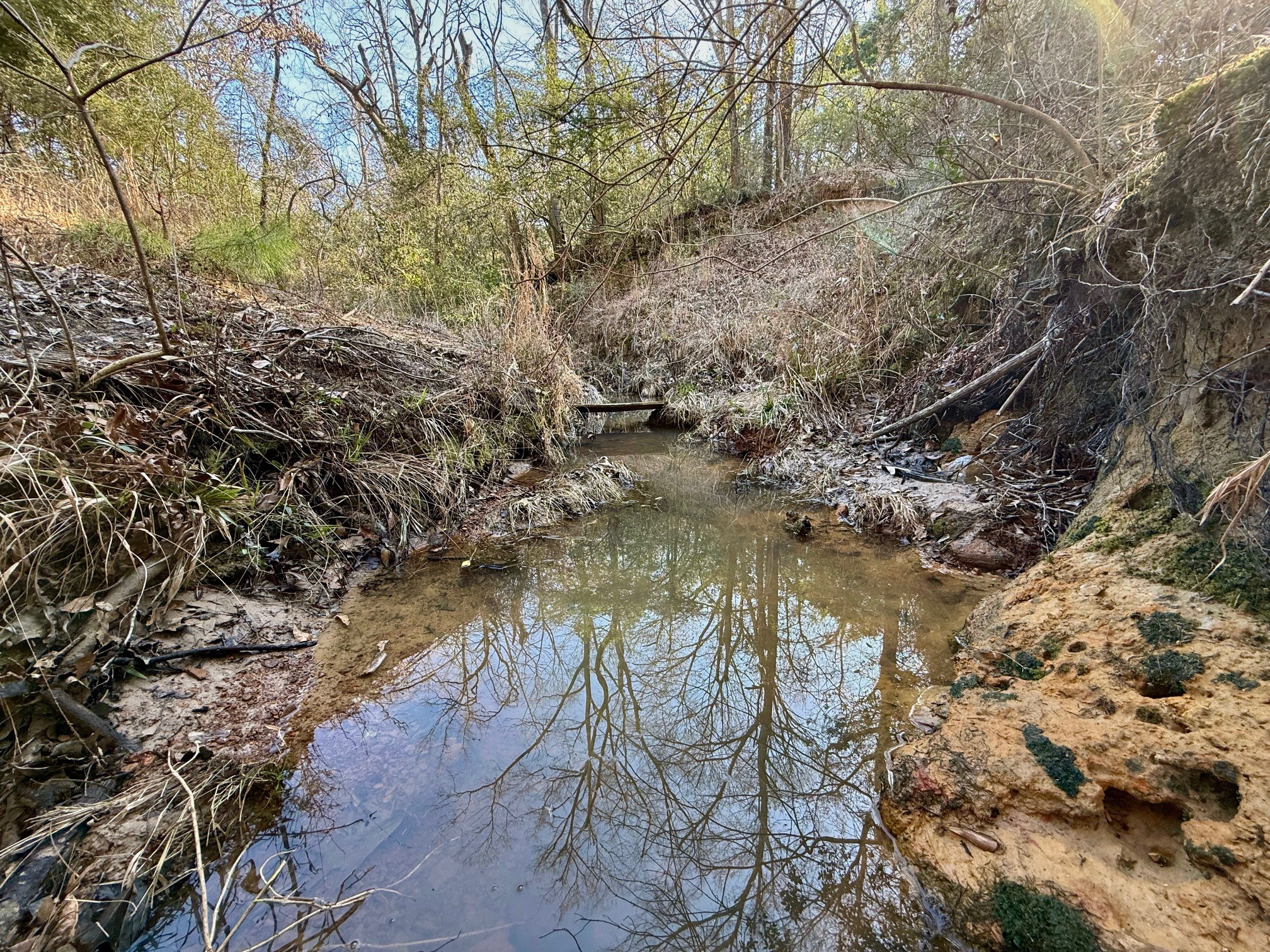 20197 Interstate 45 Buffalo, TX 75831 - Photo 20 of 30 a backyard of a house with lots of trees