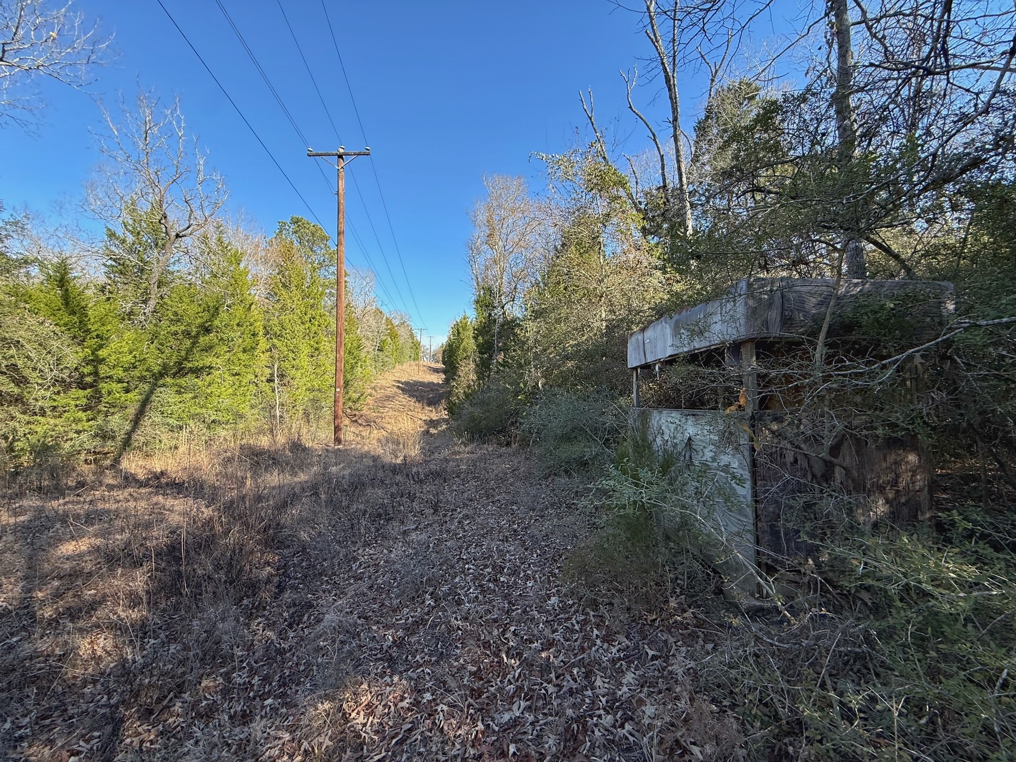 20197 Interstate 45 Buffalo, TX 75831 - Photo 21 of 30 a view of a yard