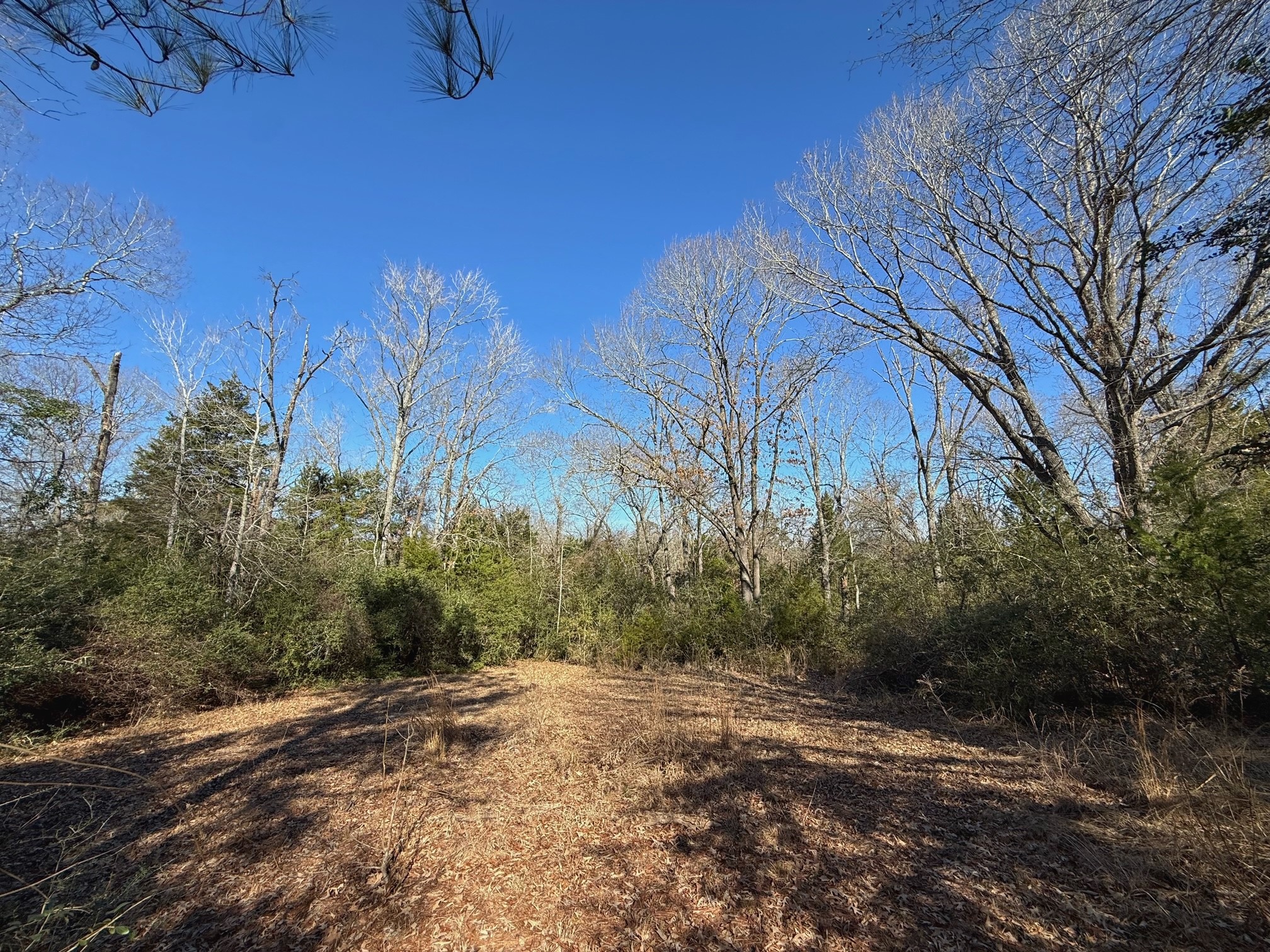 20197 Interstate 45 Buffalo, TX 75831 - Photo 23 of 30 a view of a road with a building in the background