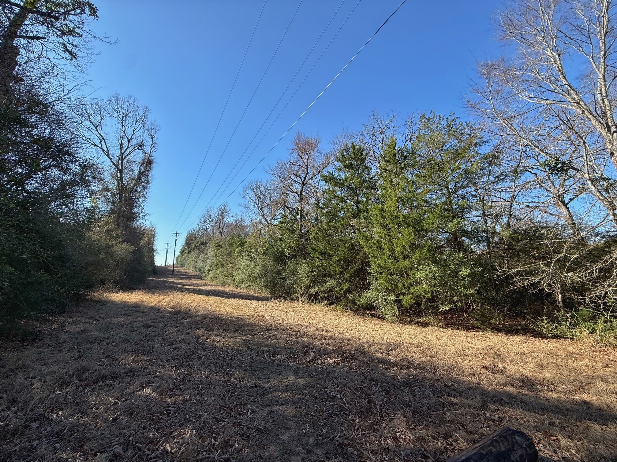 20197 Interstate 45 Buffalo, TX 75831 - Photo 25 of 30 a view of a yard with a tree