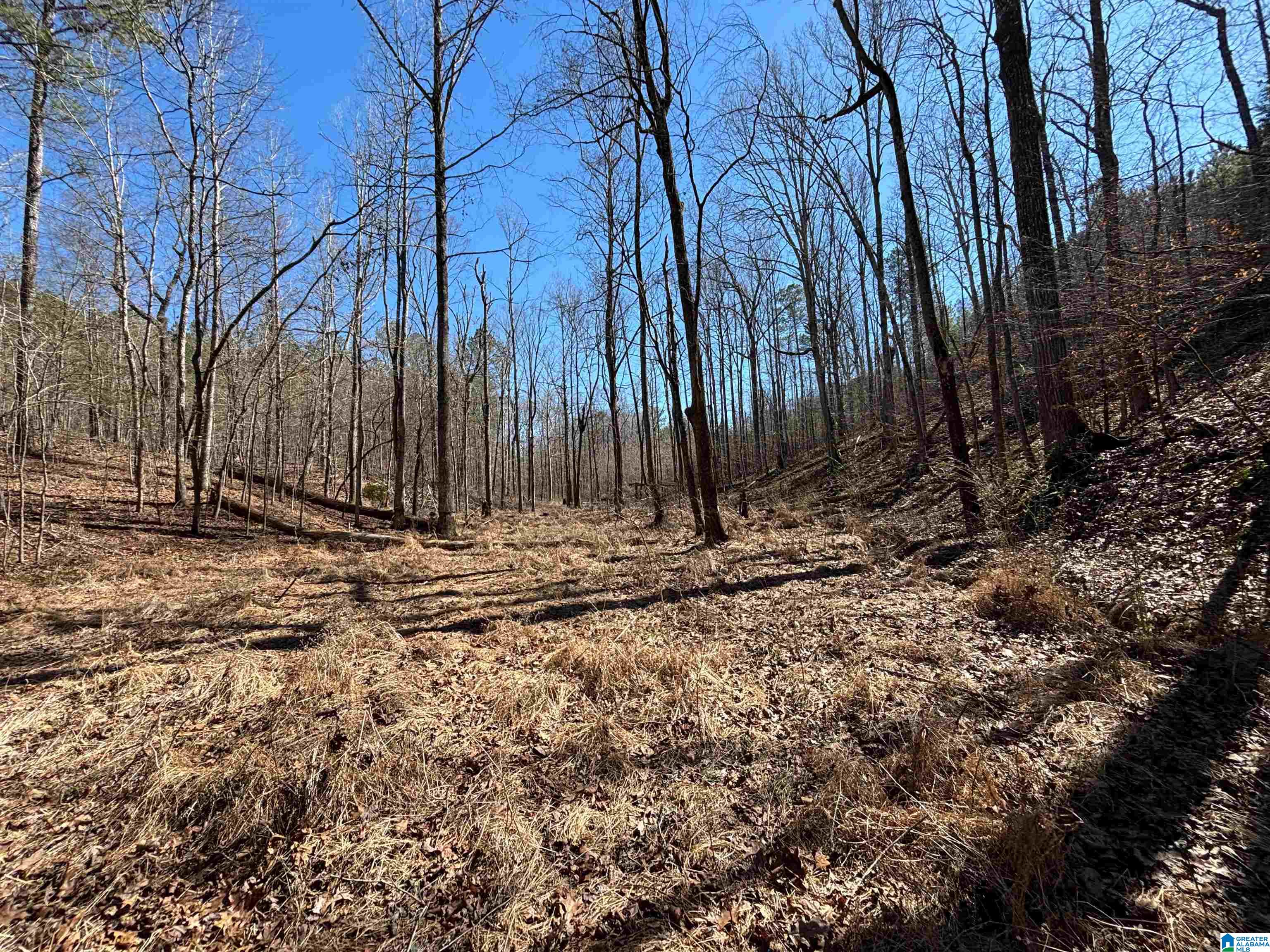 7380 Narrows Road, Unit 148 / ACRES Pinson, AL 35126 - Photo 9 of 22