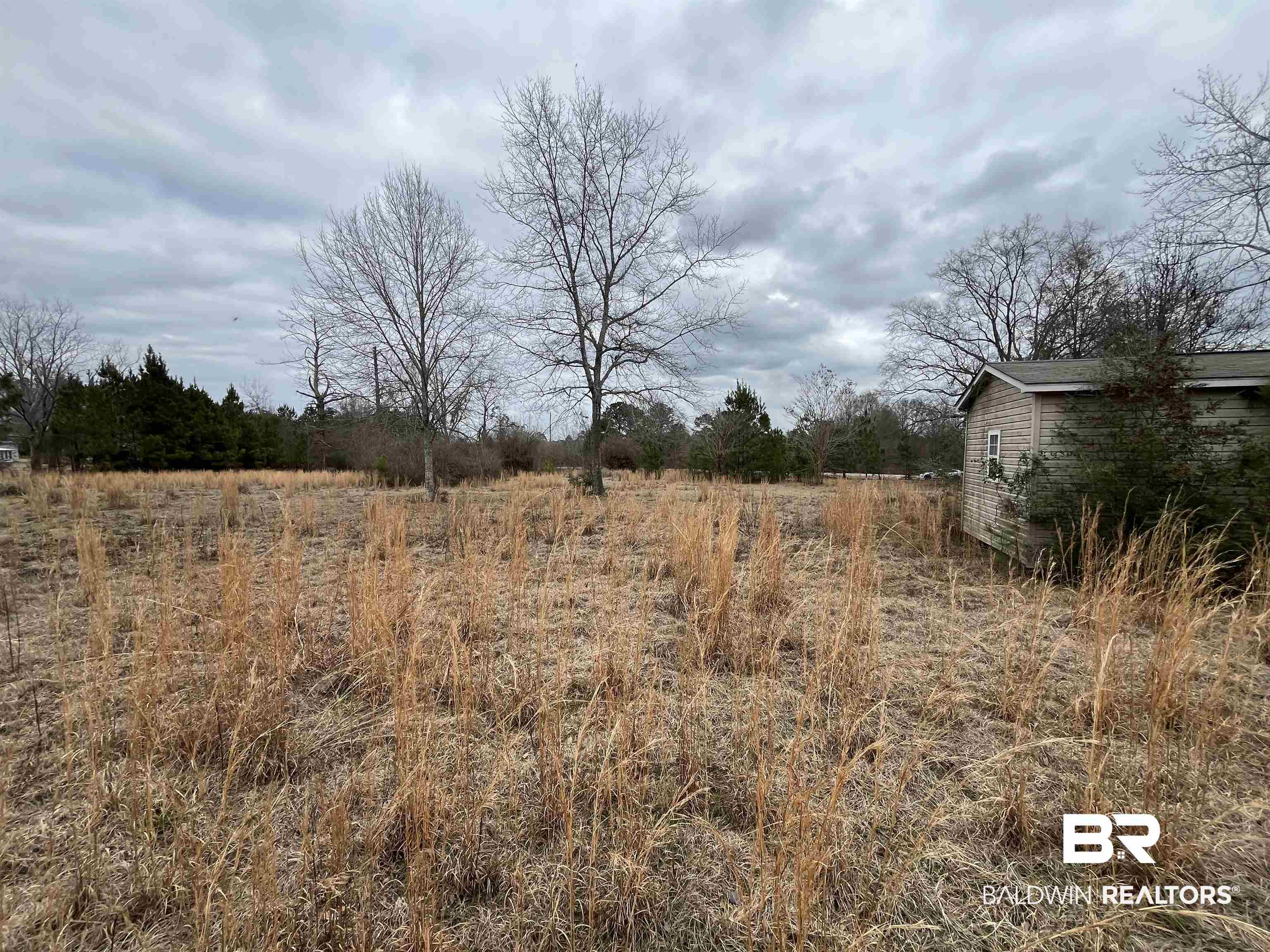 4967 Kirkland Road Brewton, AL 36426 - Photo 1 of 6 View of local wilderness with a rural view
