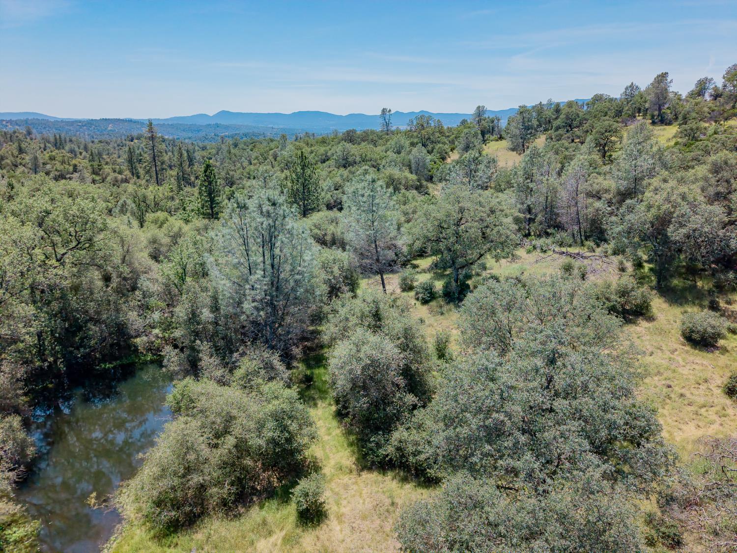 5912 Old Gulch Road San Andreas, CA 95249 - Photo 54 of 71 a view of a forest with a forest