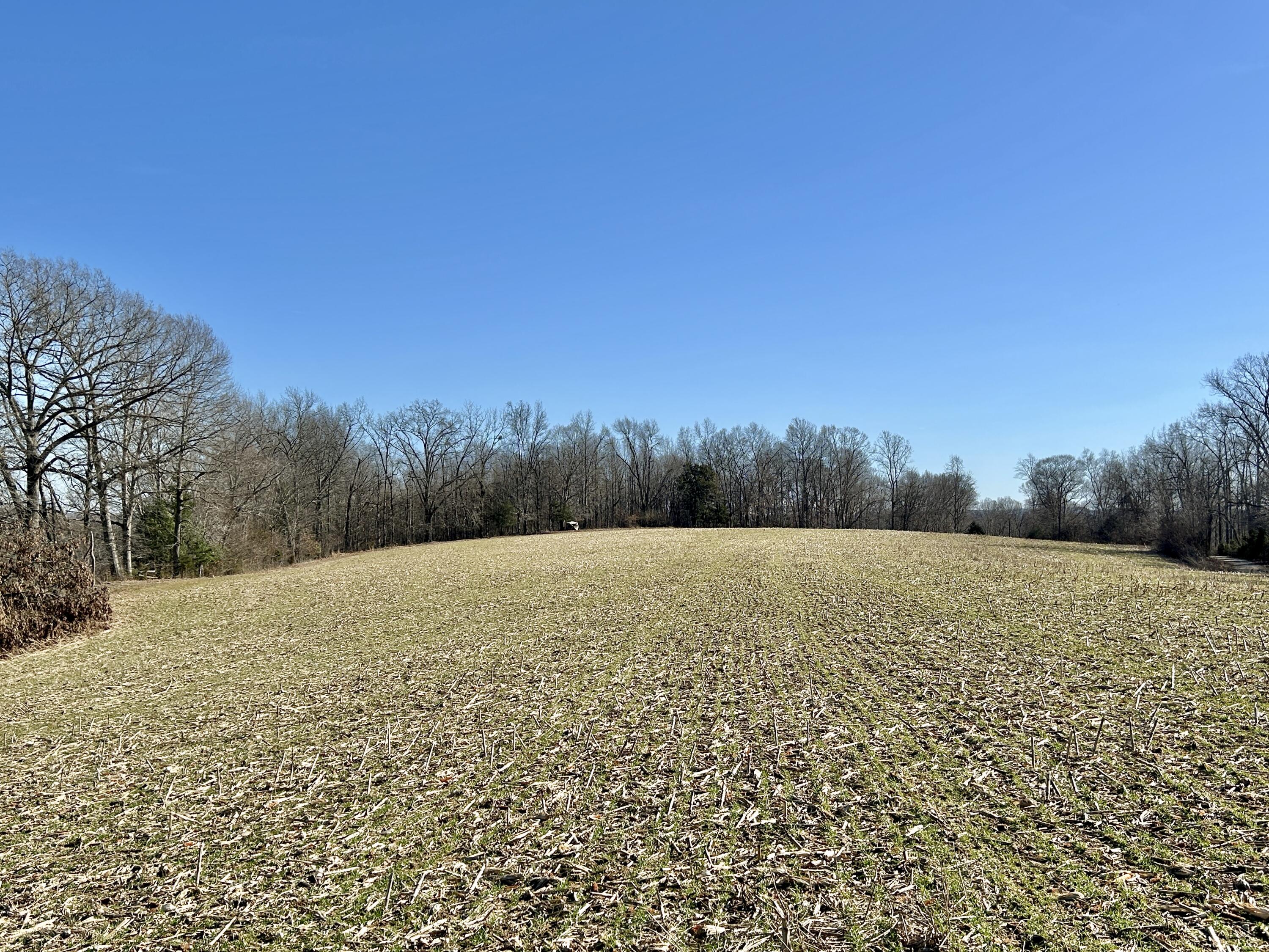 3800 Piney Grove Road Nancy, KY 42544 - Photo 6 of 15 IMG_E5534