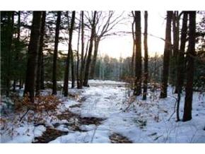 135 Shannon Road Gilmanton, NH 03837 - Photo 2 of 9