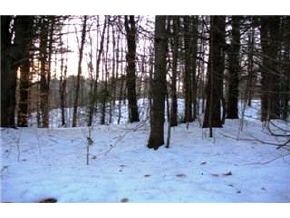 135 Shannon Road Gilmanton, NH 03837 - Photo 4 of 9