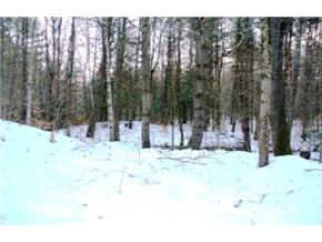 135 Shannon Road Gilmanton, NH 03837 - Photo 5 of 9