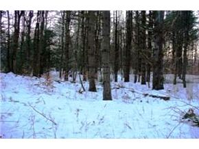 135 Shannon Road Gilmanton, NH 03837 - Photo 6 of 9