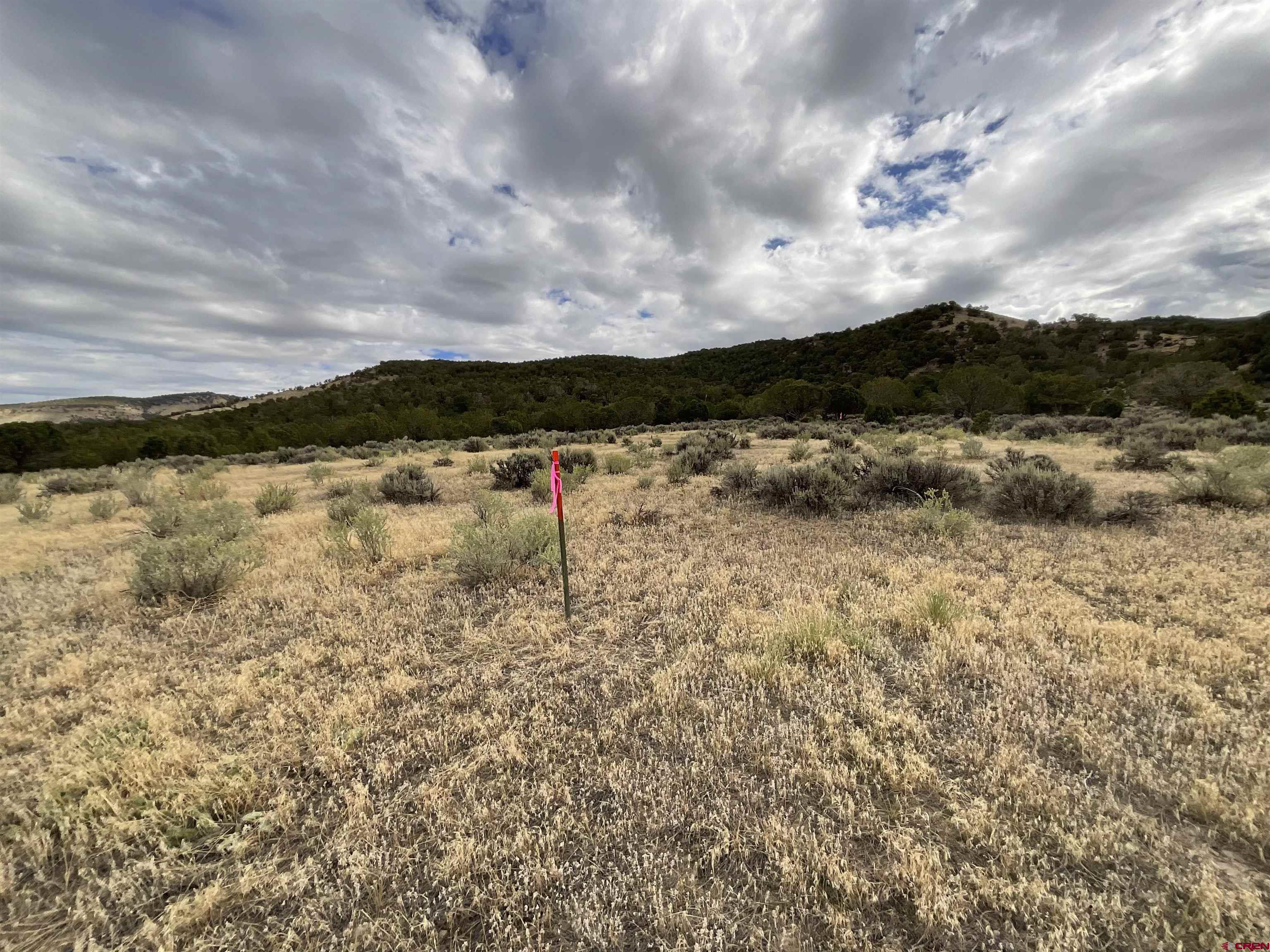 Tbd Lot 22 7250th Road Montrose, CO 81403 - Photo 11 of 25 a view of lake
